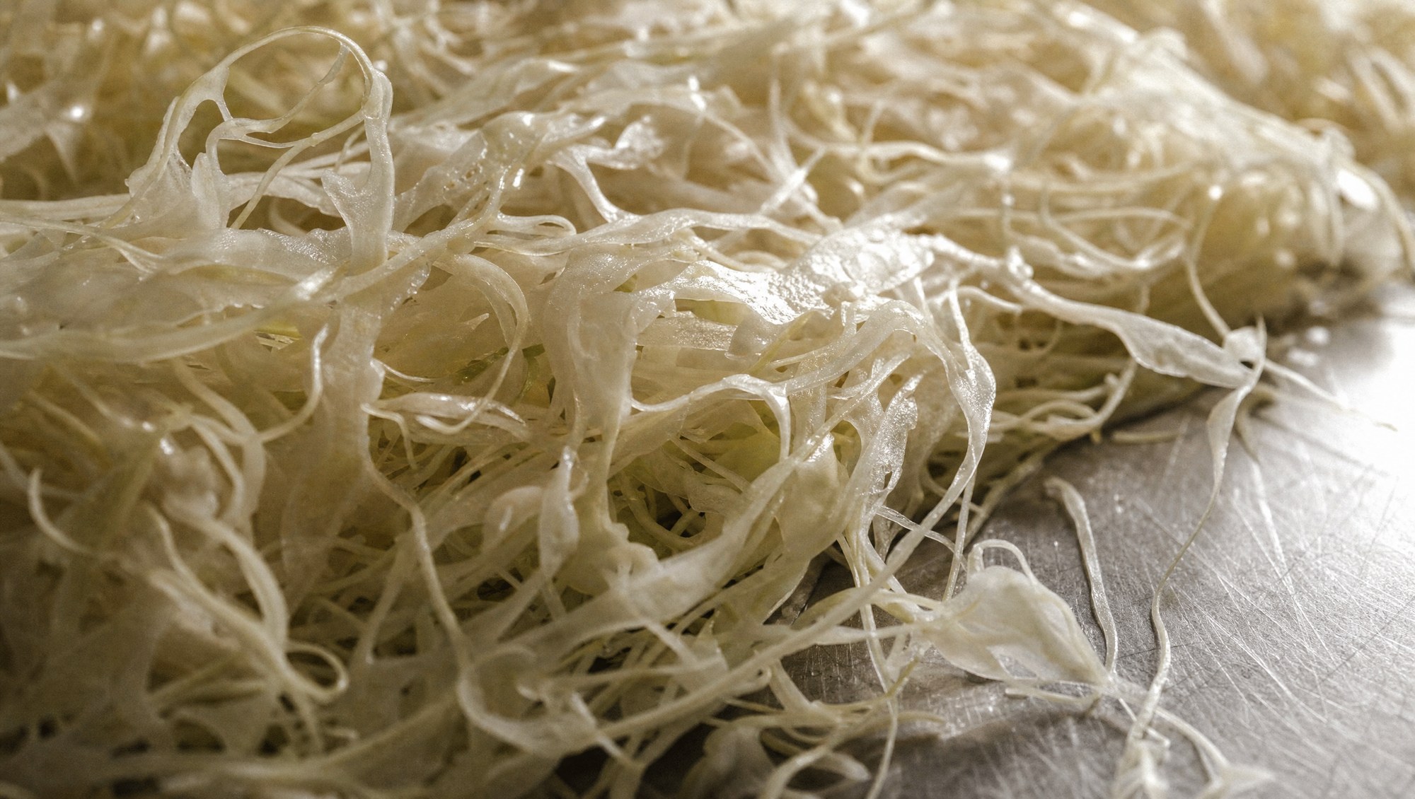 Your gut is why your body is stiff: the fermentation-fascia connection